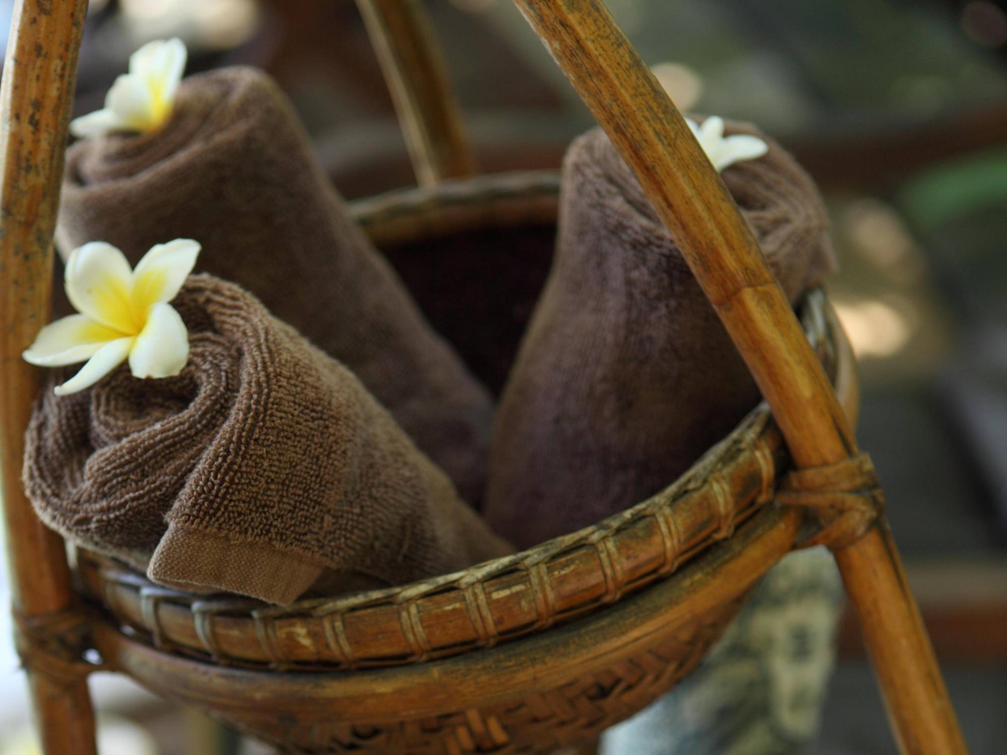 Hotel Tonys & - Bali